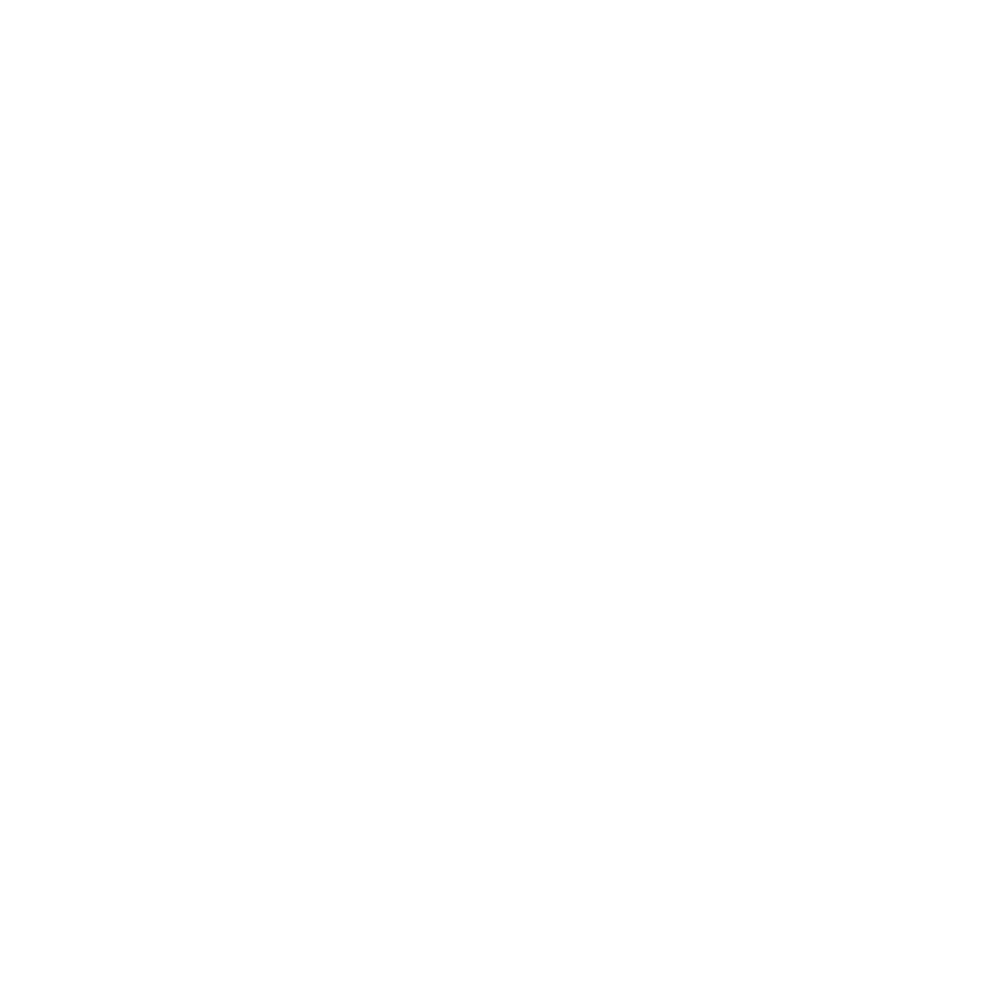 Bollvino Logo Beyaz